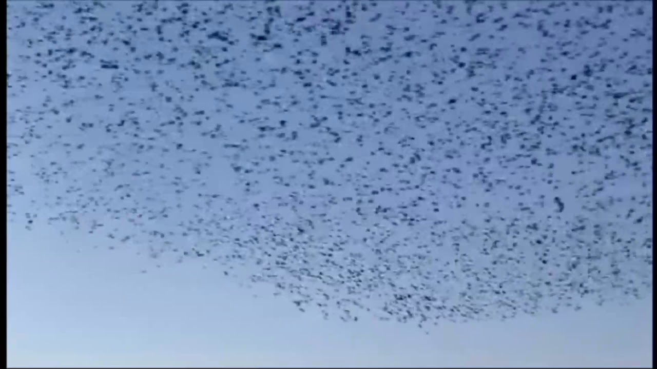 Ebu Ubeyde den ebu hanzala ya cihad ve hicret dersi