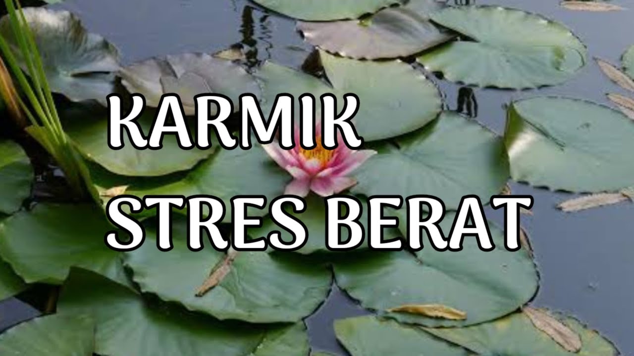 🎆 KARMIK STRES BERAT 🎆