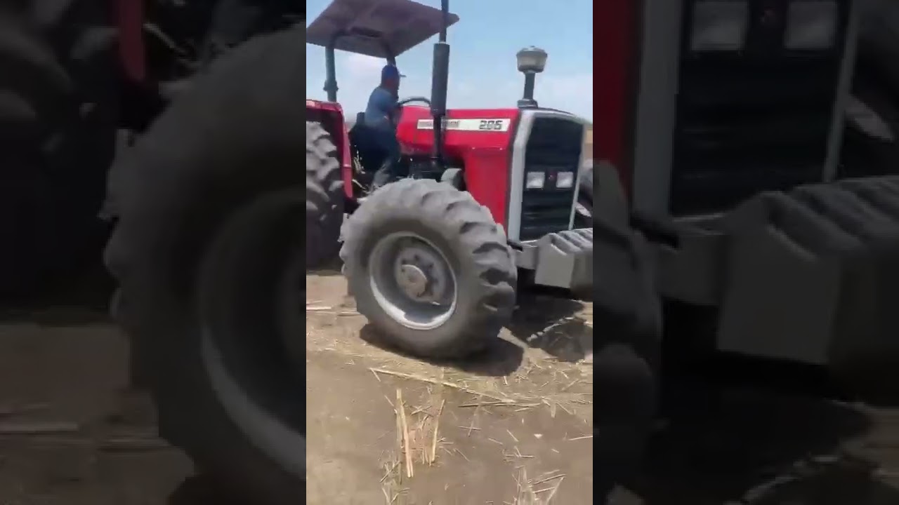 Massey Ferguson 285 4x4 con rastra de 24