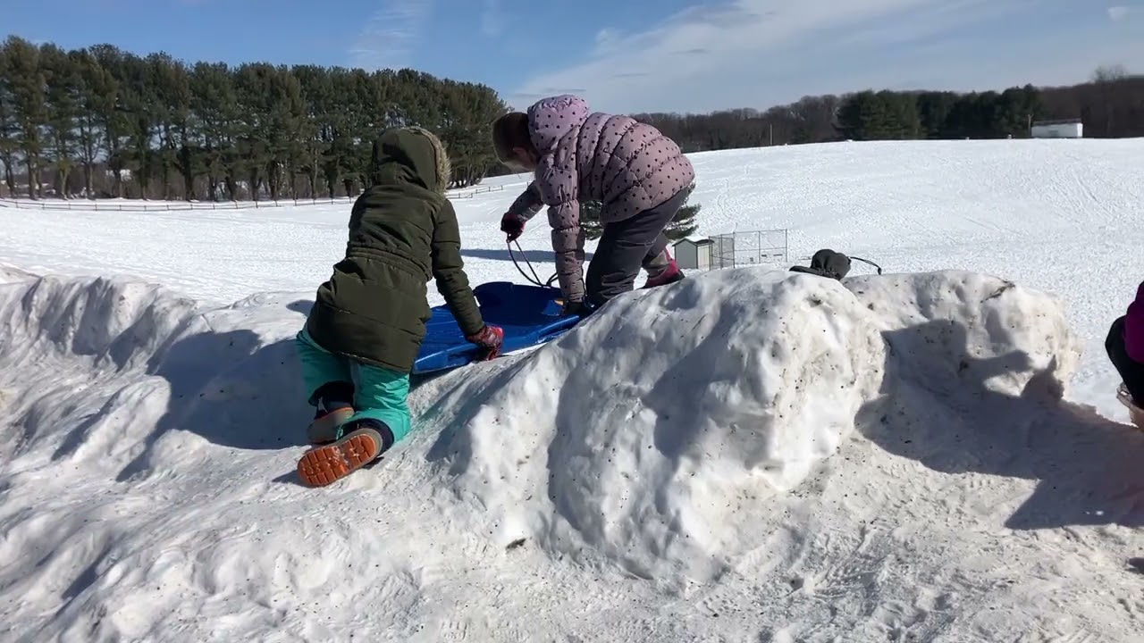 Epic Sledding Adventure! #bethsmithstudio #winter2026 #sledding 