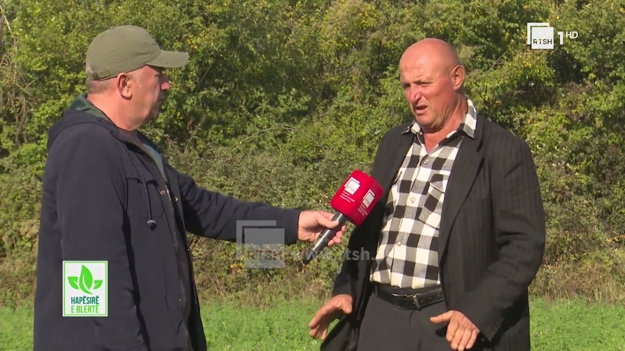 Prodhimi i farës së misrit dhe zhvillimi i blegtorisë në Dibër | “Hapësirë e blertë” në RTSH