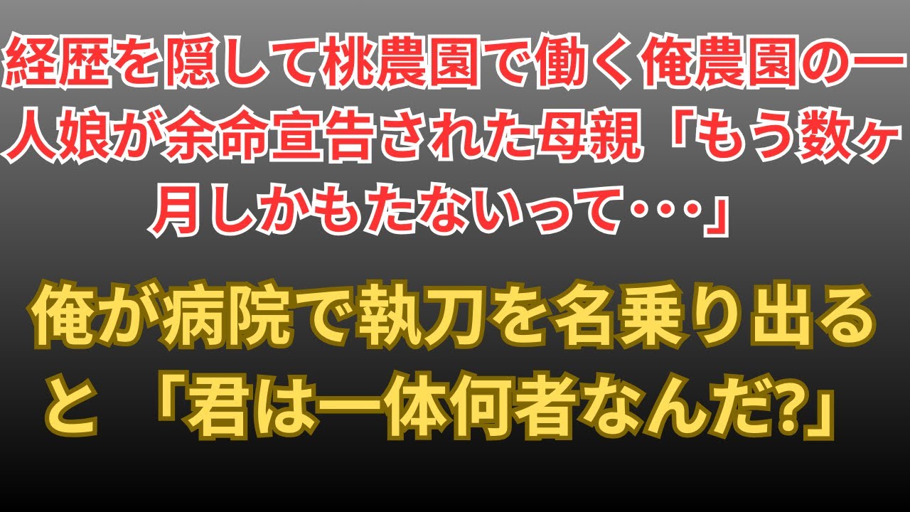【感動する話】訳あってモモ農園で働くハーバード大医学部卒の俺。余命宣告されて泣く農園の1人娘のピンチを救うと「あなた、一体何者？」経歴を打ち明けると…【朗読・スカッと】