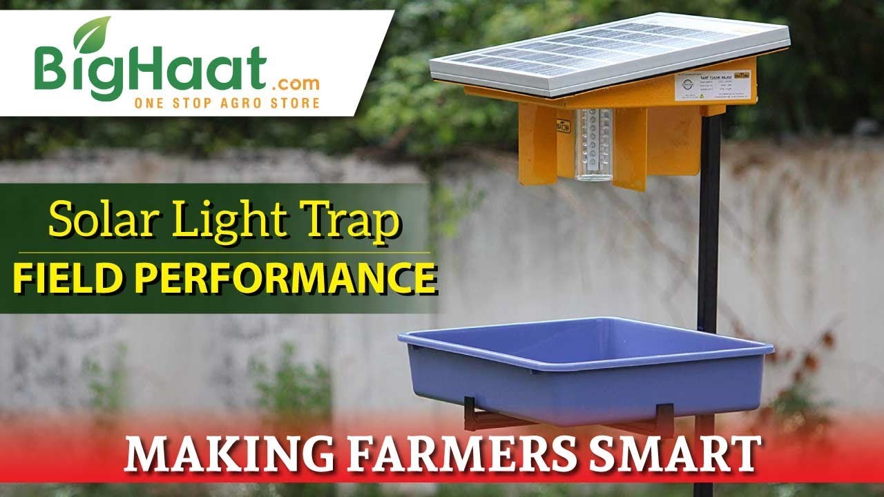 Solar Insect Trap Field Performance | BigHaat