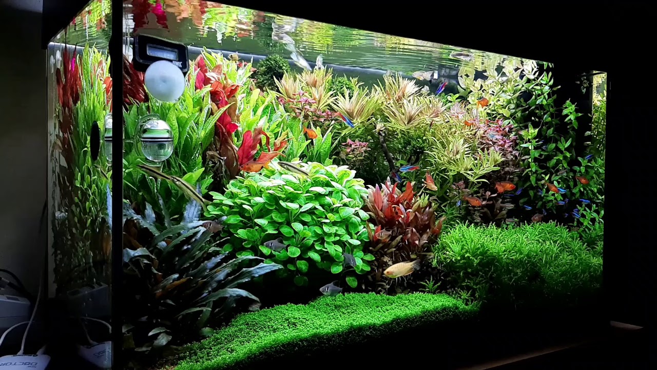 Aquarium Juwel Rio 125 l