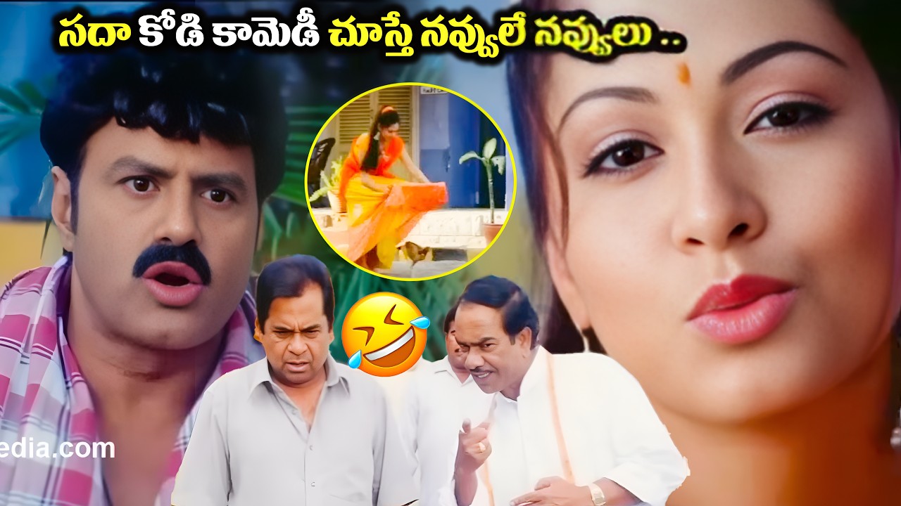 సదా కోడి కామెడీ చూస్తే నవ్వులే నవ్వులు .. Bala Krishna Sadha Super Funny comedy scene Telugu scenes