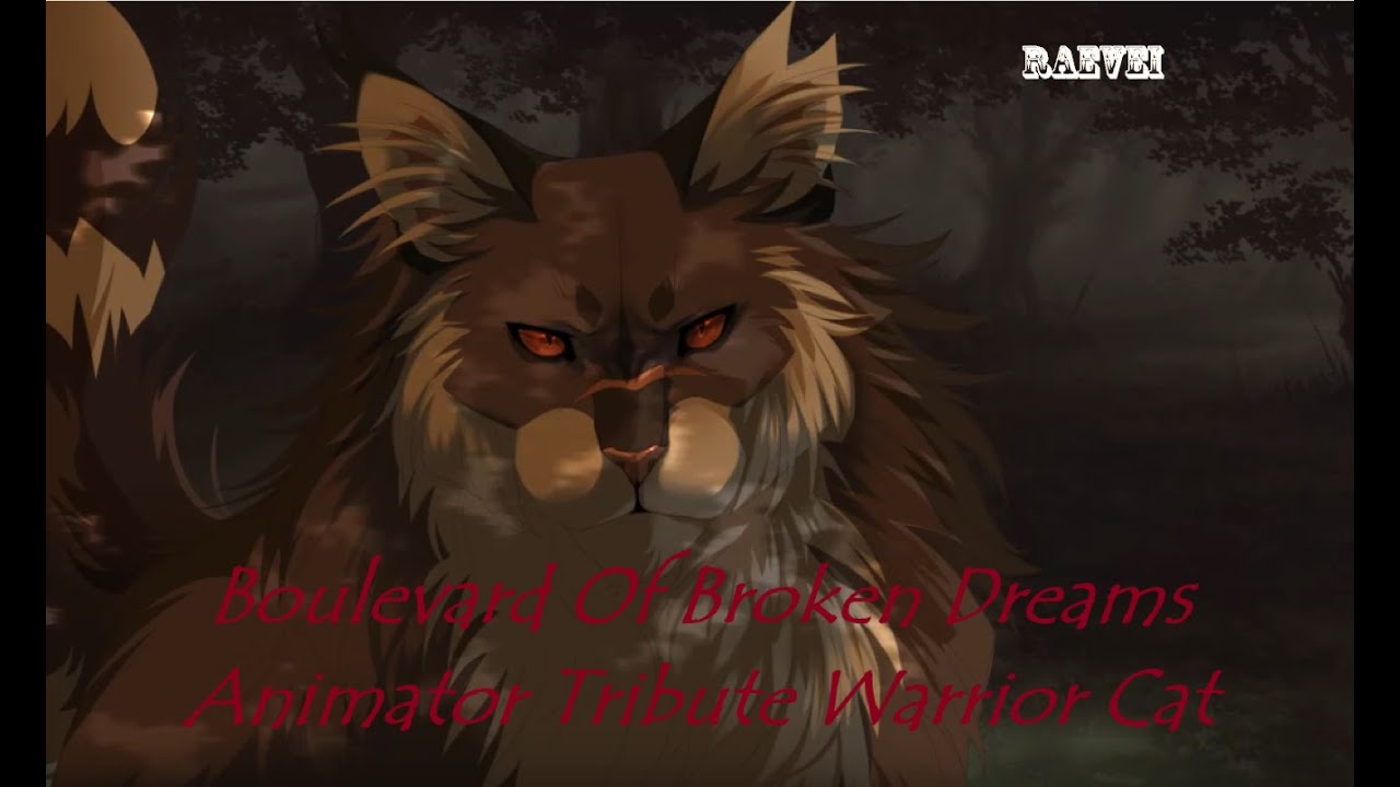 Boulevard Of Broken Dreams || Animator Tribute || Warrior Cat