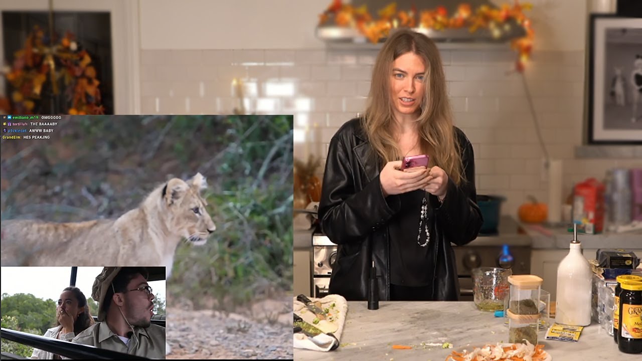 QT finds out Maya and Adapt spotted lions