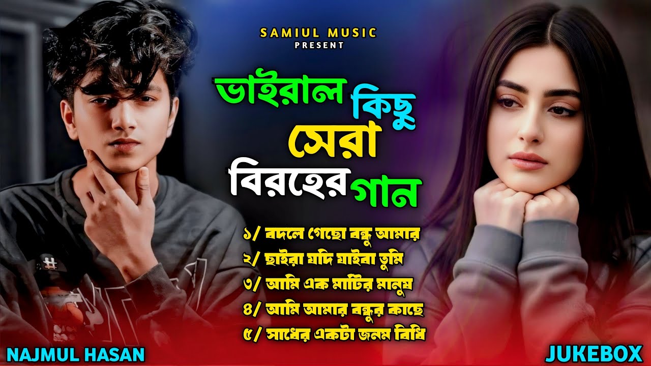 ২০২৫ সালের বাছাই করা সব বুক ফাটা কষ্টের গান😭New Bangla Top 5 Sad Song-2025। Najmul Hasan Audio Album