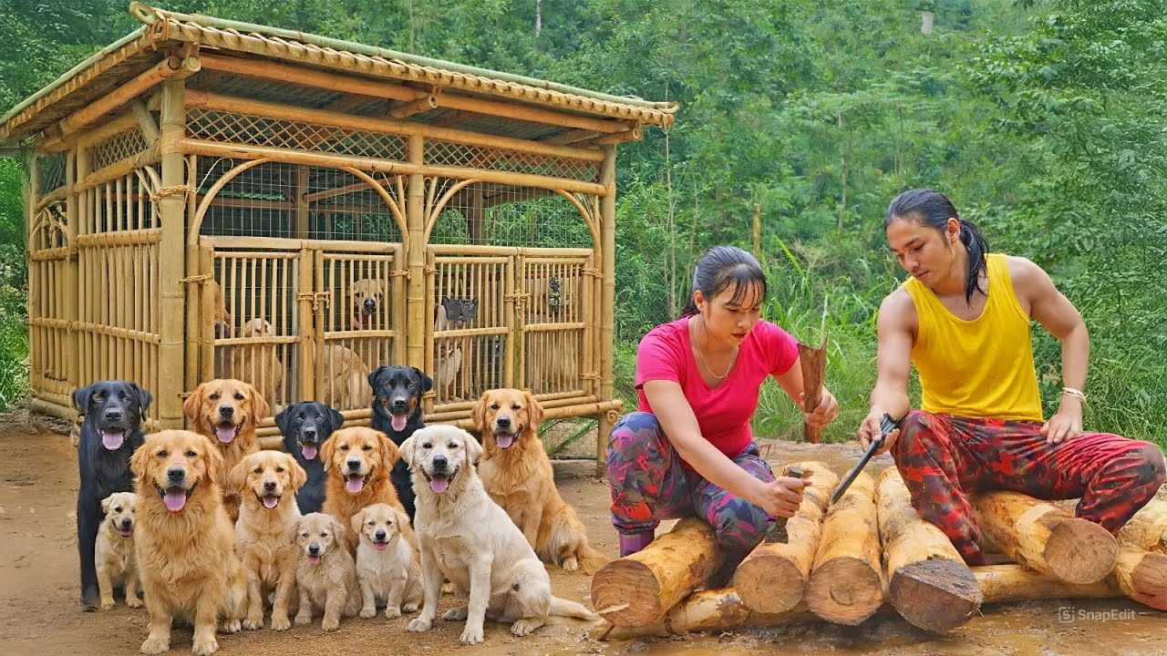 How to Build a Bamboo House for Dogs - Farm Building - Life in the Forest | SURVIVAL ALONE