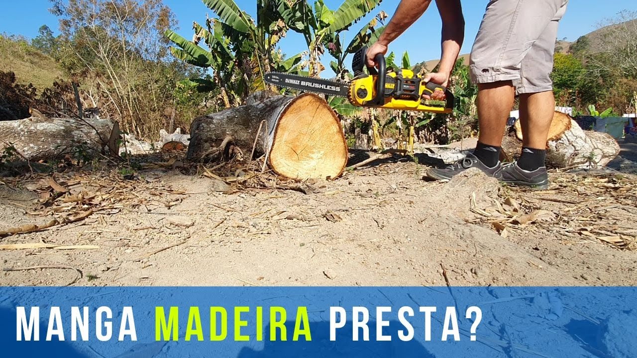 Madeira da Mangueira serve para marcenaria?