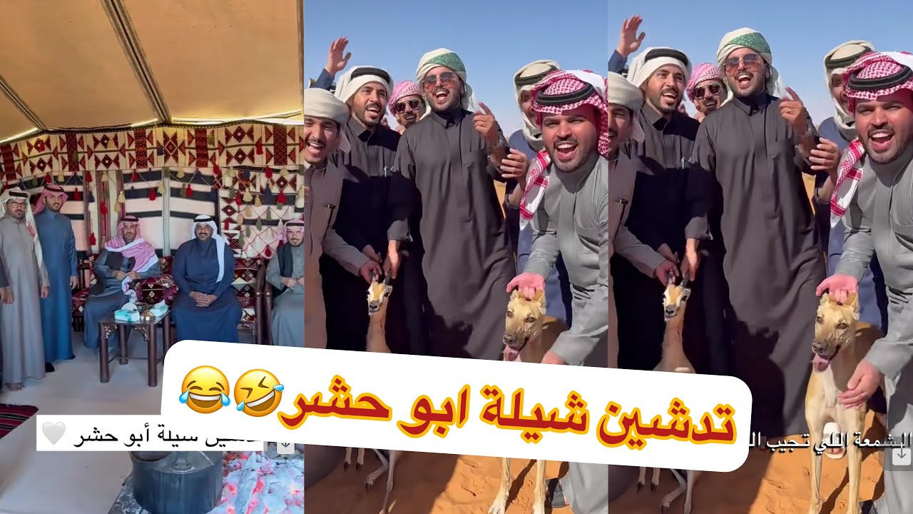 😂😂شاش ابو حشر ابو تميم مخلد ابو ربيع كفو#سنابات #غازي_الذيابي