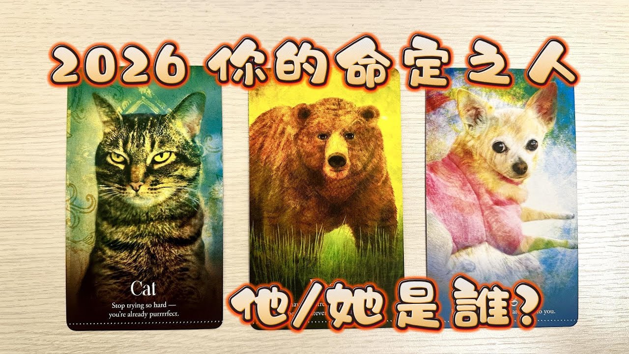 塔羅占卜🔮2026你的命定之人?