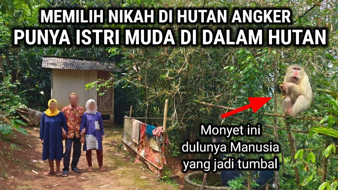 RUMAH POCONG DI TENGAH HUTAN BELANTARA