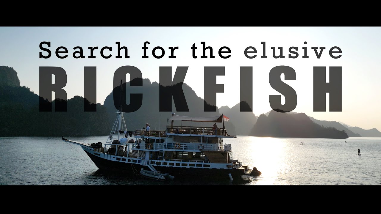 Search for the elusive Rickfish | Merman sighting!