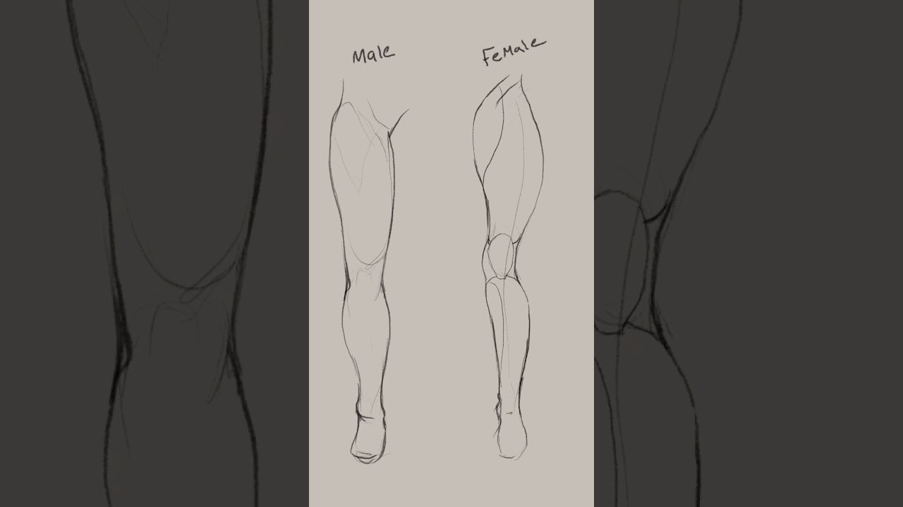 How to Draw Legs (Male & Female) - The Step-by-Step Guide