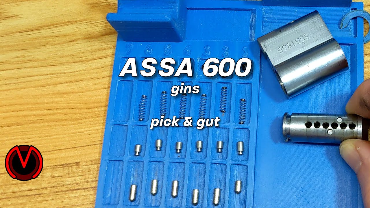 ASSA 600 gins - pick & gut - red (10 dan)