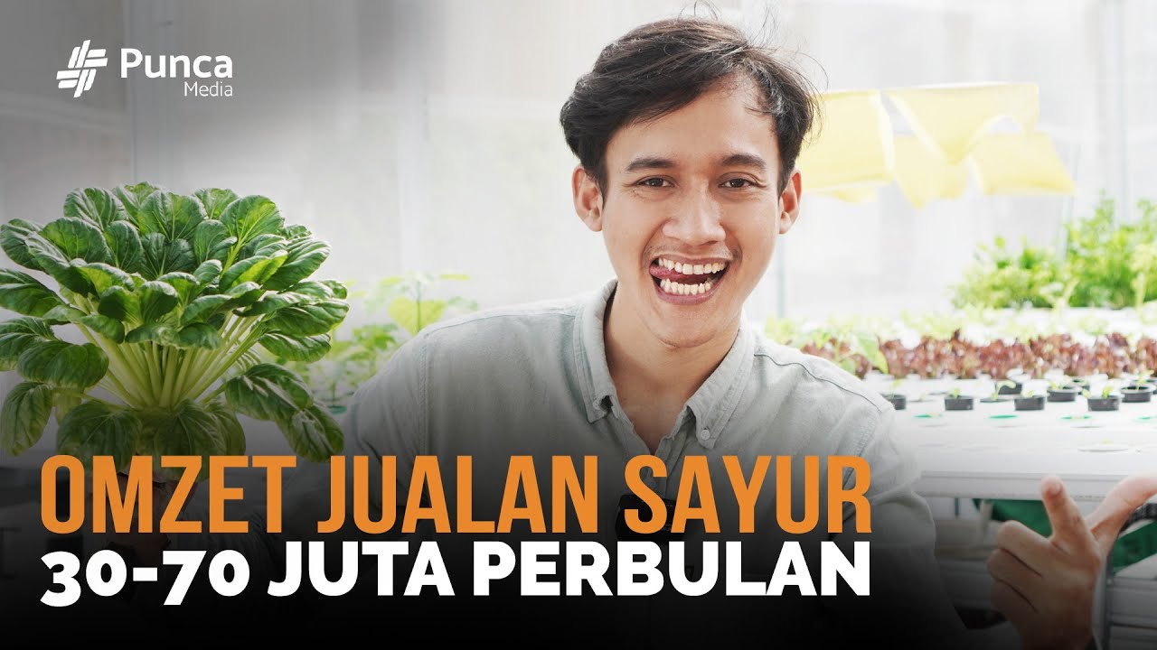 DEWAPONIK, MULAI HIDROPONIK TANPA LAHAN DI KOS, KINI SUKSES JUAL SAYURAN OMZET HINGGA 70  JUTAAN!