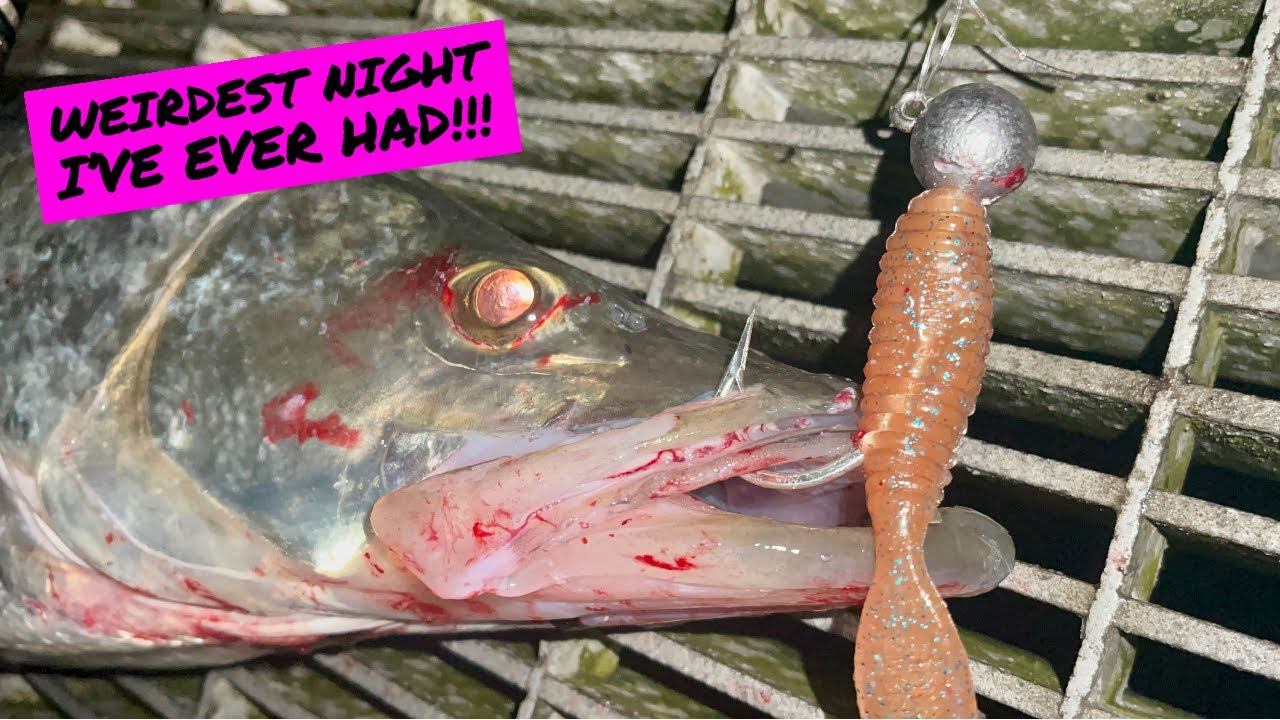 Crazy Nighttime SNOOK FISHING!!! | Sebastian Inlet Fishing