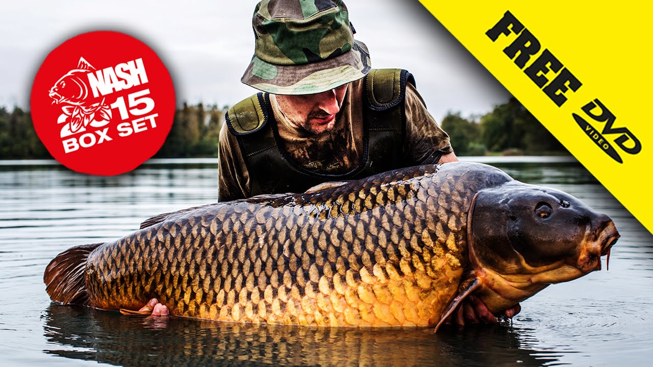 NASH 2015 DVD BOX SET Carp Fishing + Subtitles Complete Movie in 1080P
