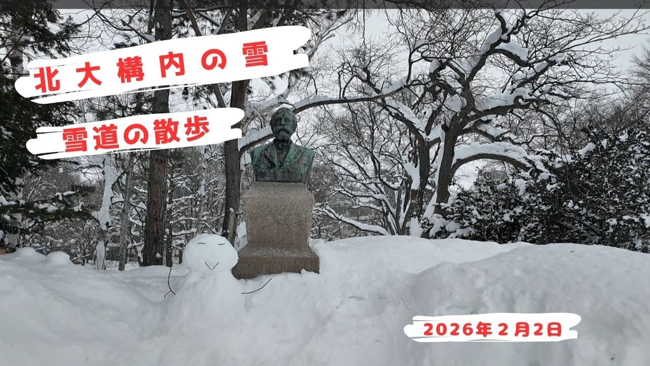 20260202 北大構内の雪道