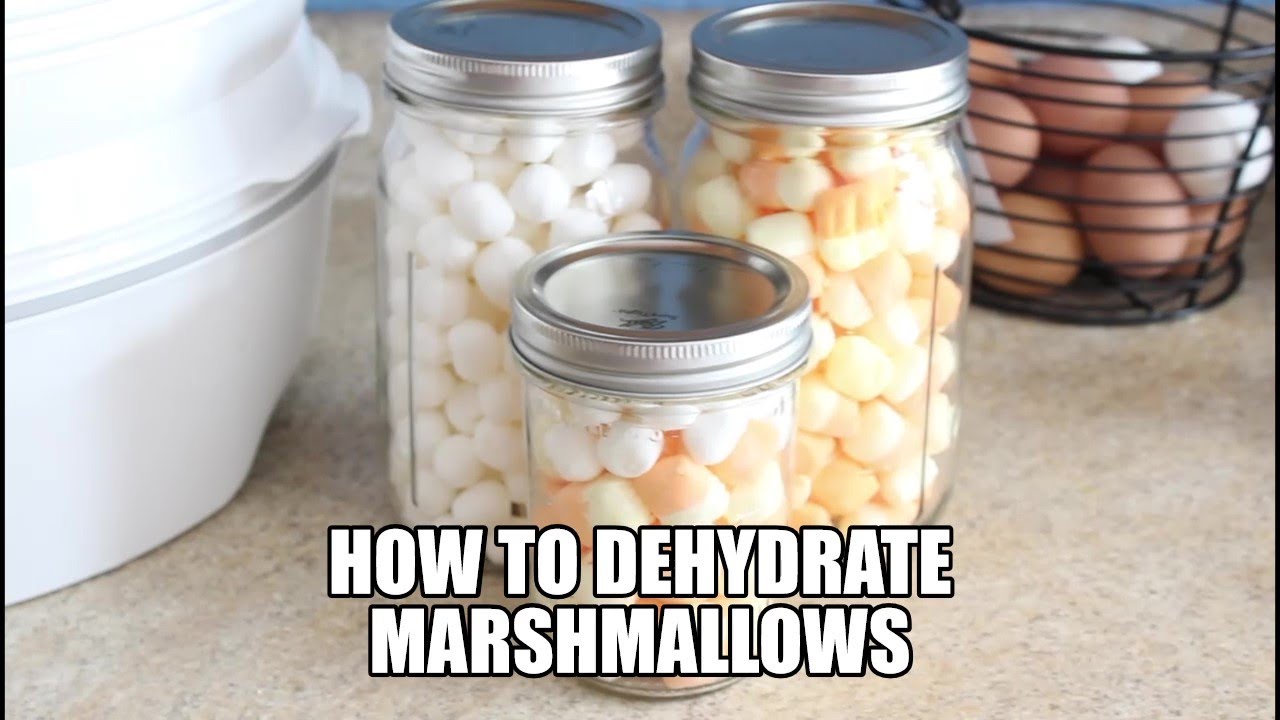 How to DEHYDRATE Marshmallows! Fun to add to homemade hot cocoa. So EASY!