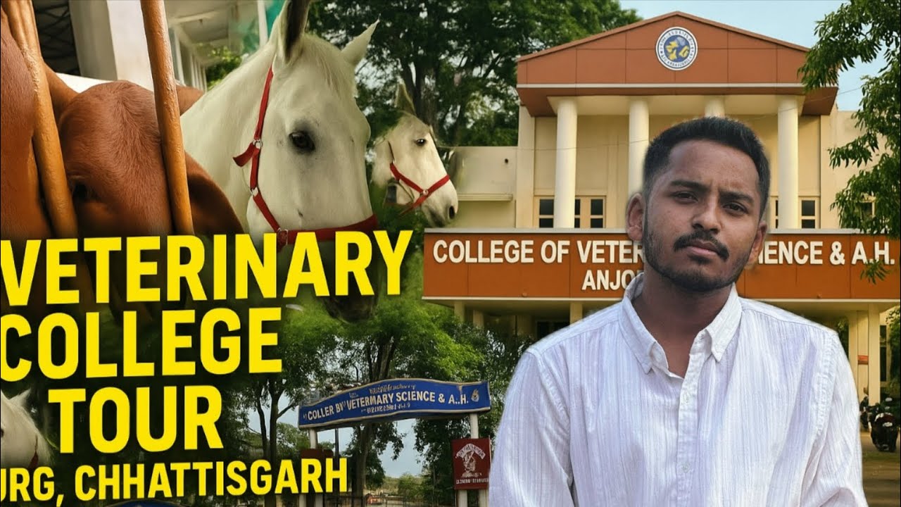Veterinary College Tour Chhattisgarh⚕️- DSVCKV Durg- College campus, Horse Unit, Dairy Farm, etc.