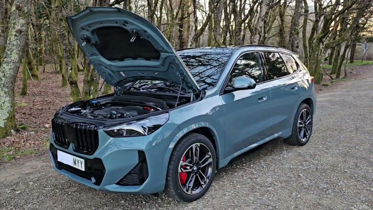 BMW X1 20d xDrive 120 kW (163 CV)