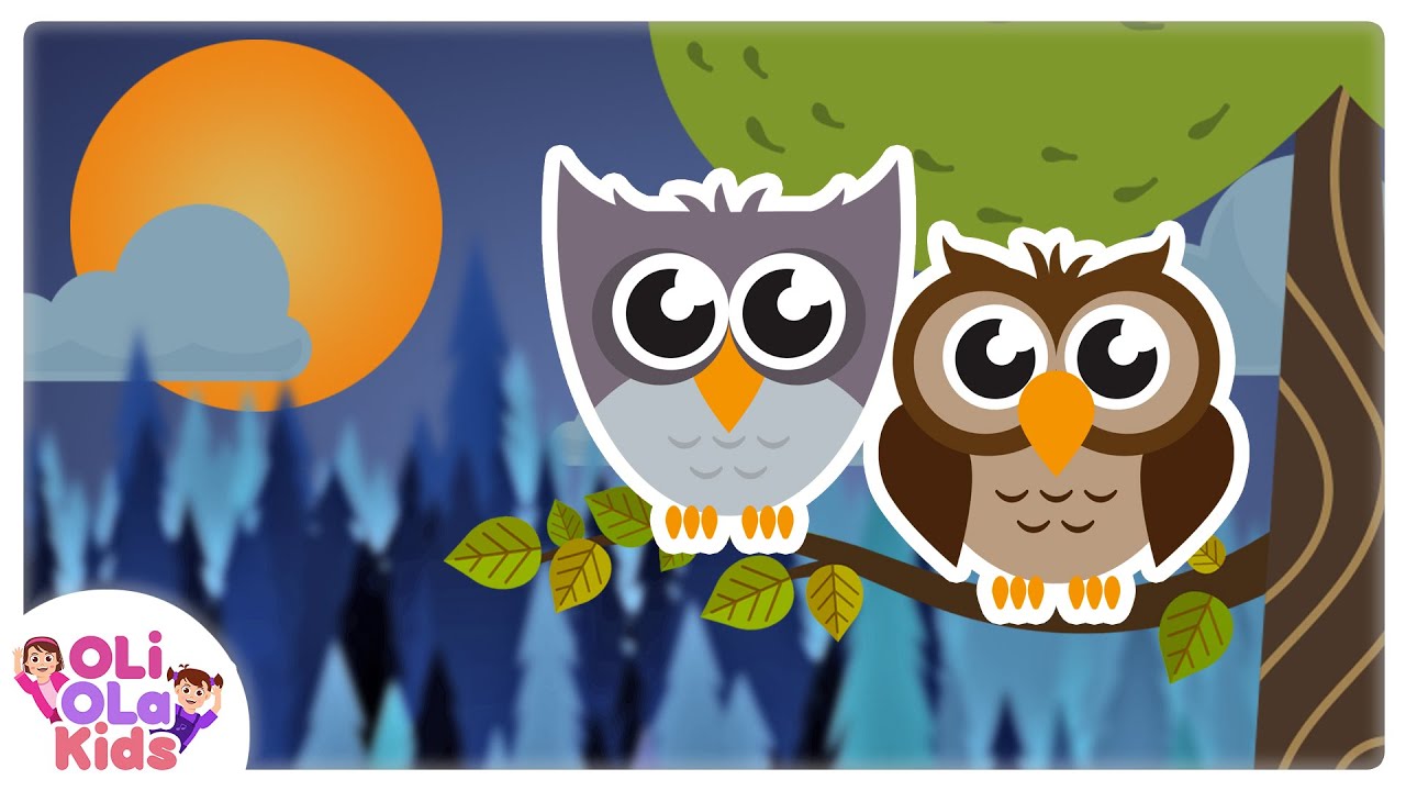 Burung Hantu - Lagu Anak Indonesia | Oli Ola Kids