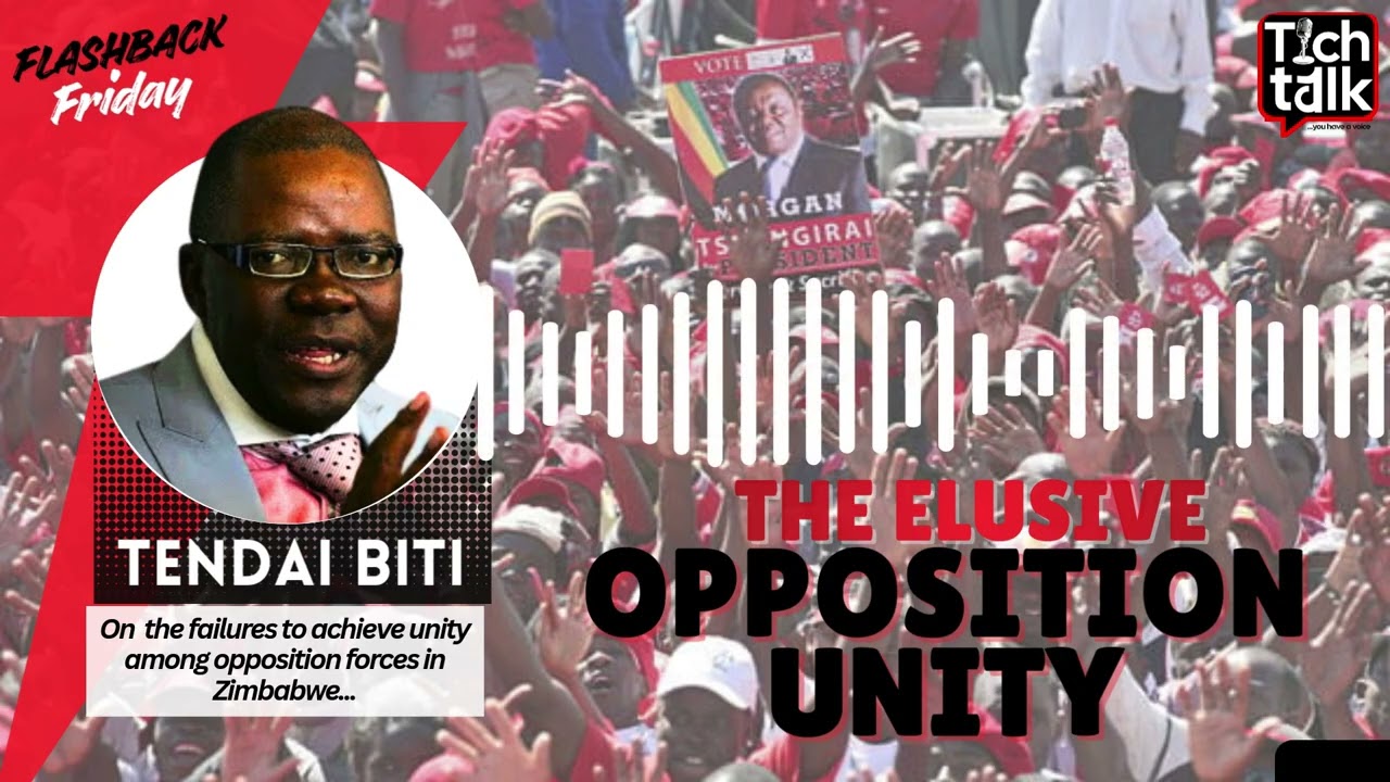 #flashbackfriday Tich Zindoga Interview with Tendai Biti | 6 MINS