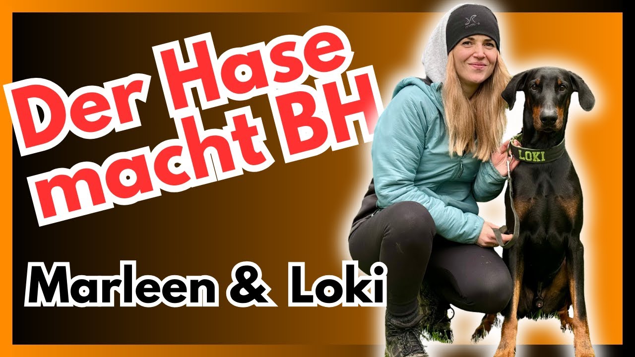 Marleen & Loki meistern die Begleithundeprüfung