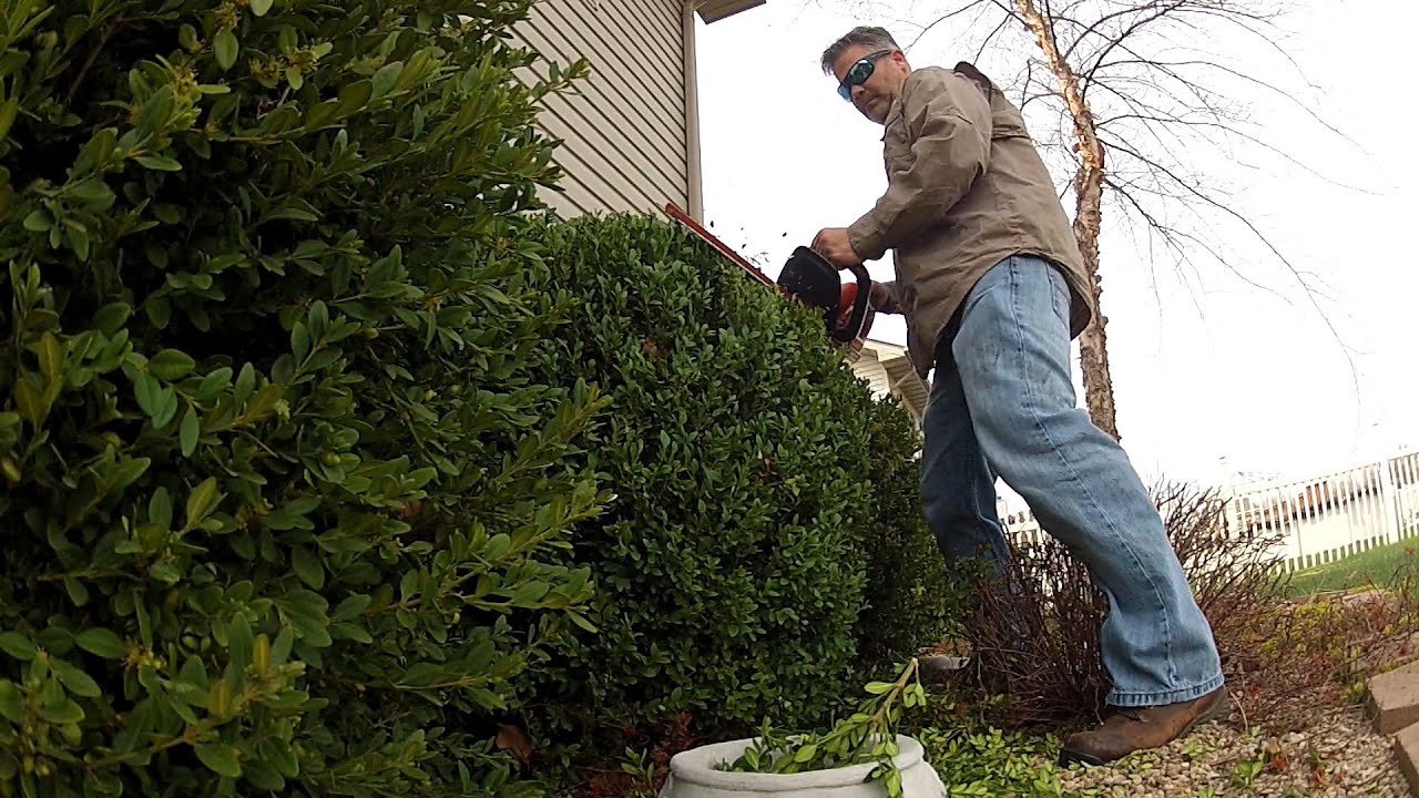 Spring Cleanup Lawn and Landscape