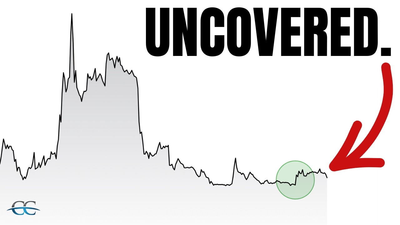 Billionaires Are Buying These Stocks...