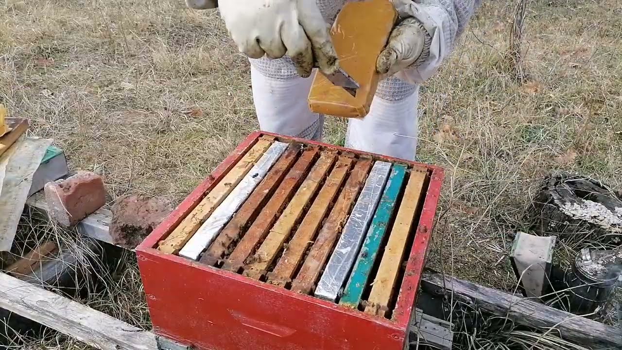 Kontrola nakon sužavanja plodišta