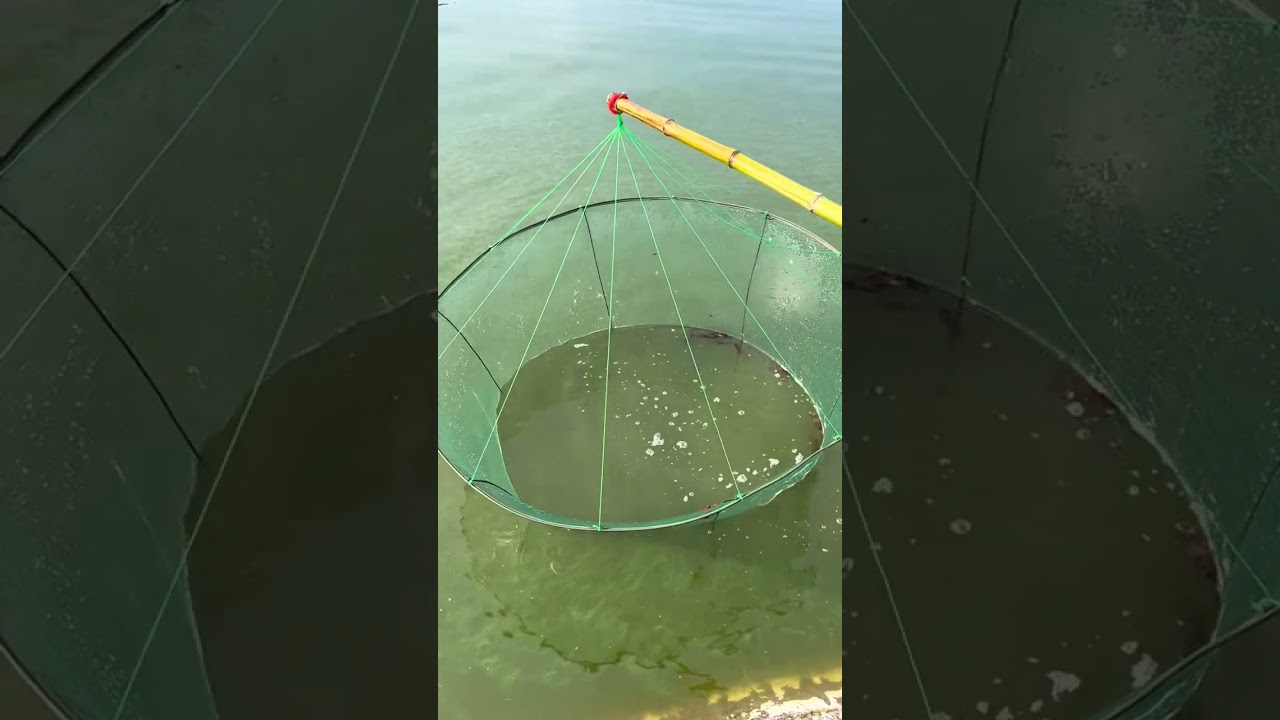 Outdoor fishing | Fishing net. #trap #breed