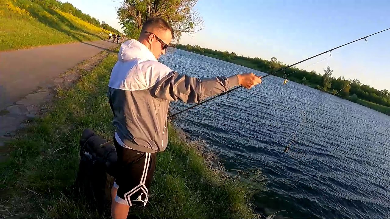 🐋Karpfenfischen auf der Donauinsel - Neue Donau🐋 - Big Carp💥💥