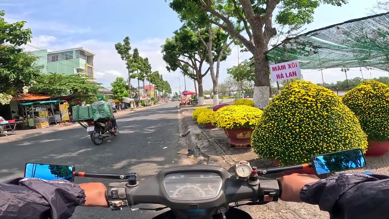 Lái Xe Dạo Quanh Chợ Hoa Tết 2026, Bến Tre Sáng 20-12-2025 #38