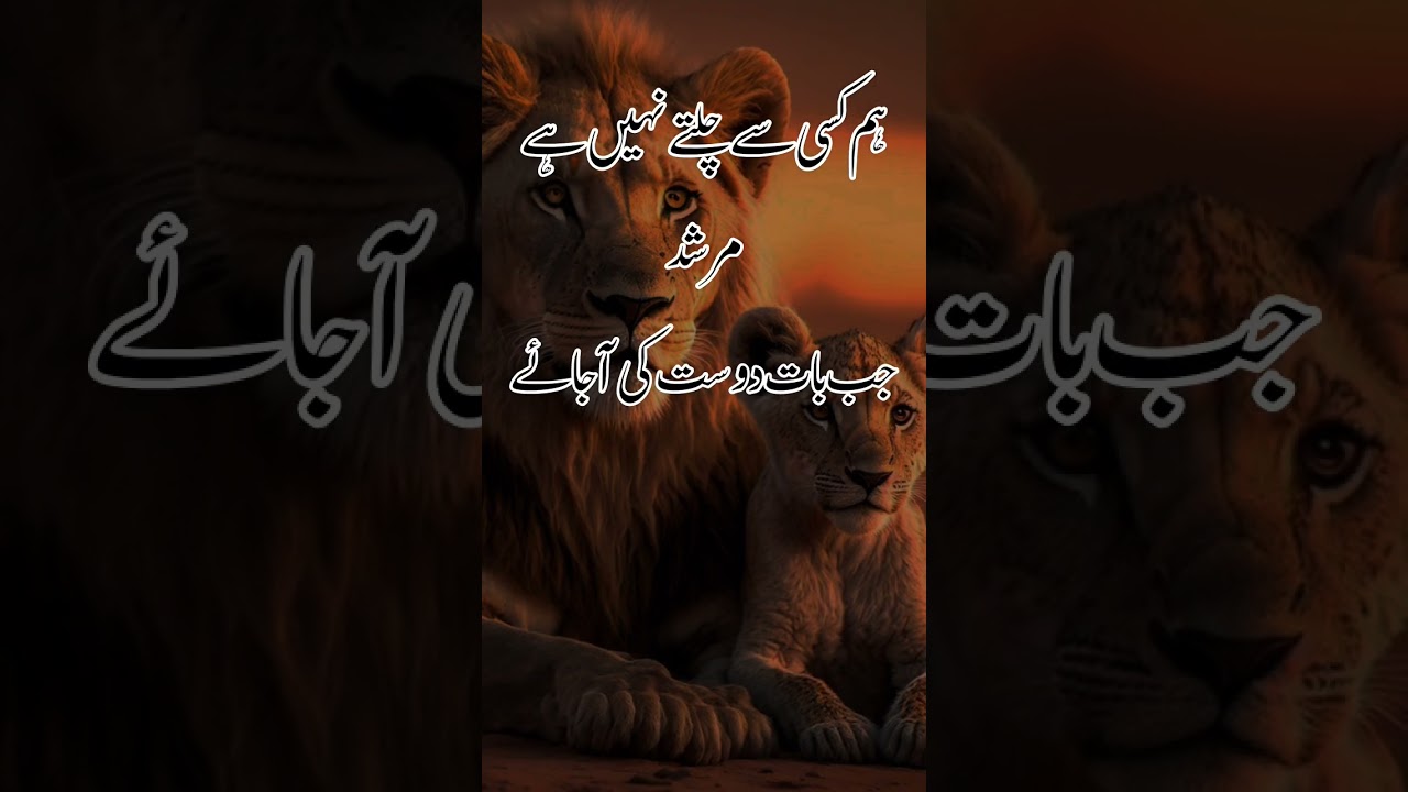 New viral attitude shayari | Attitude Tik tok Shayari Attitude poetry in urdu || #shorts