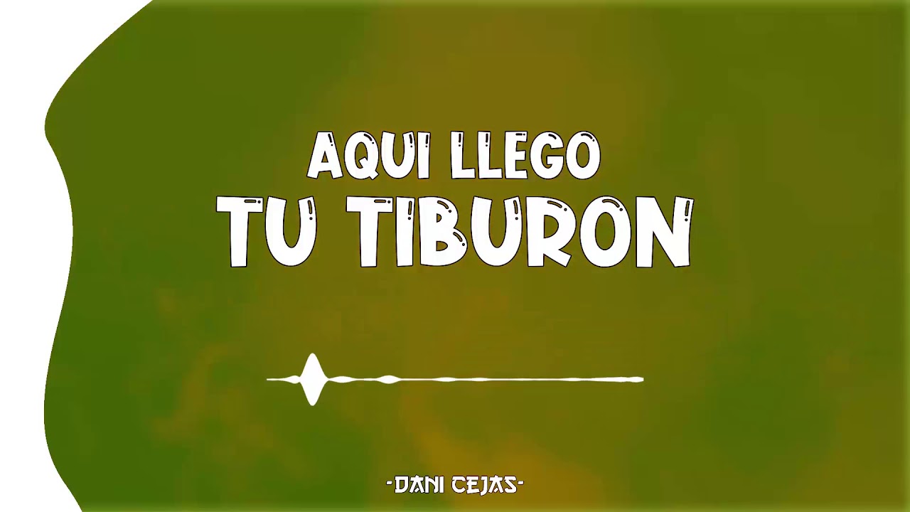 🦈 AQUI LLEGO TU TIBURON - DANI CEJAS x LOCURA MIX 🦈
