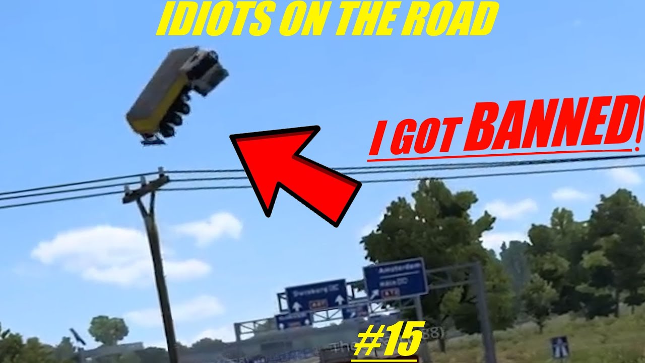 IDIOTS ON THE ROAD #15 | I got BANNED | TruckersMP | Euro Truck Simulator 2