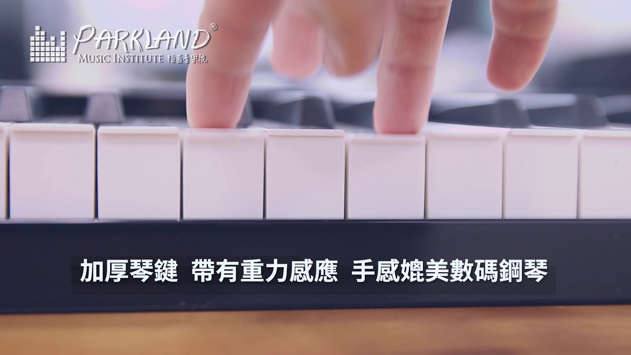 【Konix PH88 88鍵電子琴】