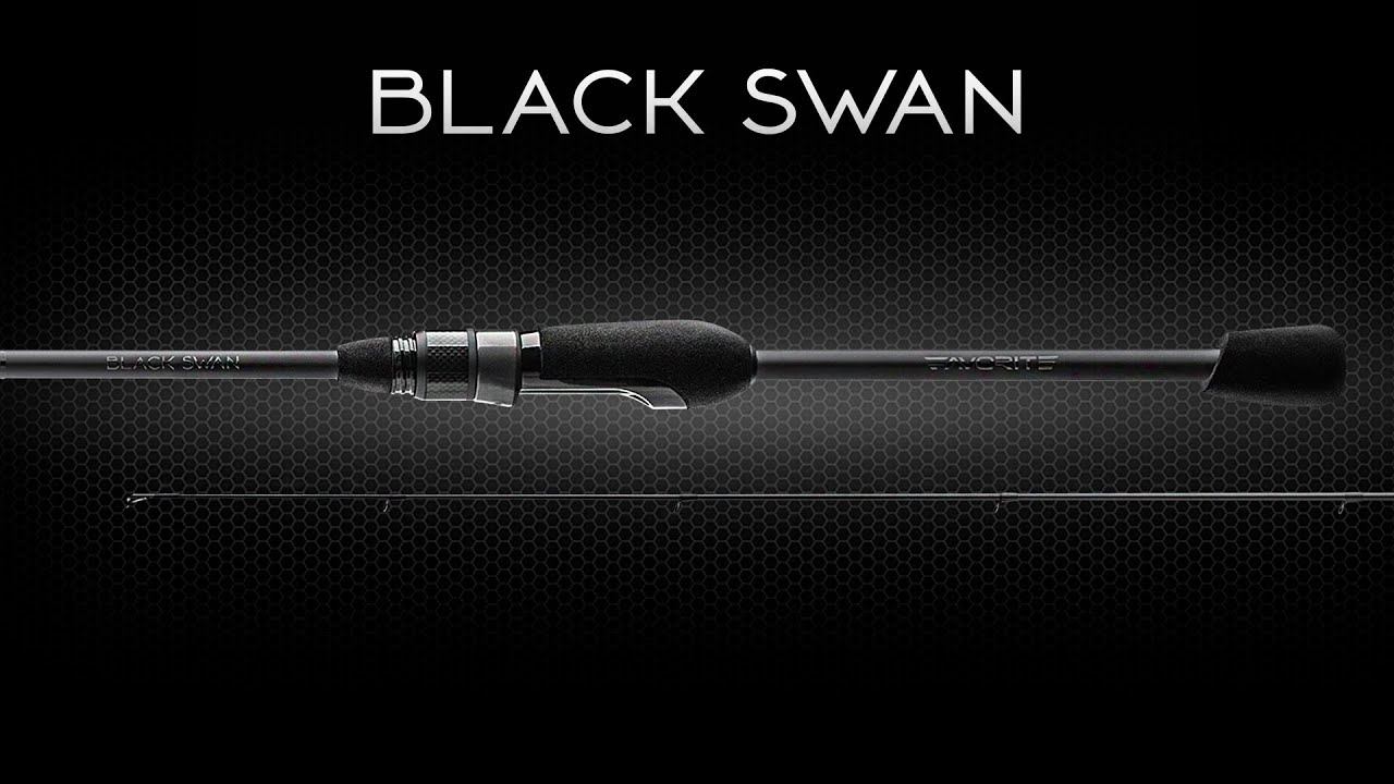 Обзор спиннинга Favorite Black Swan. Новинка 2021