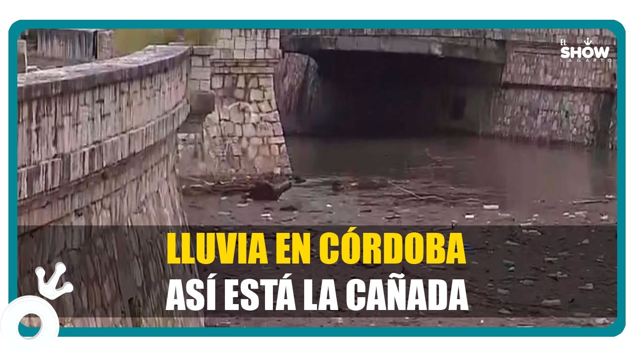 ¡Vergüenza total! impactante 