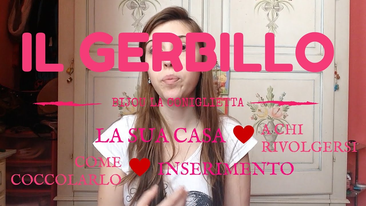 il GERBILLO