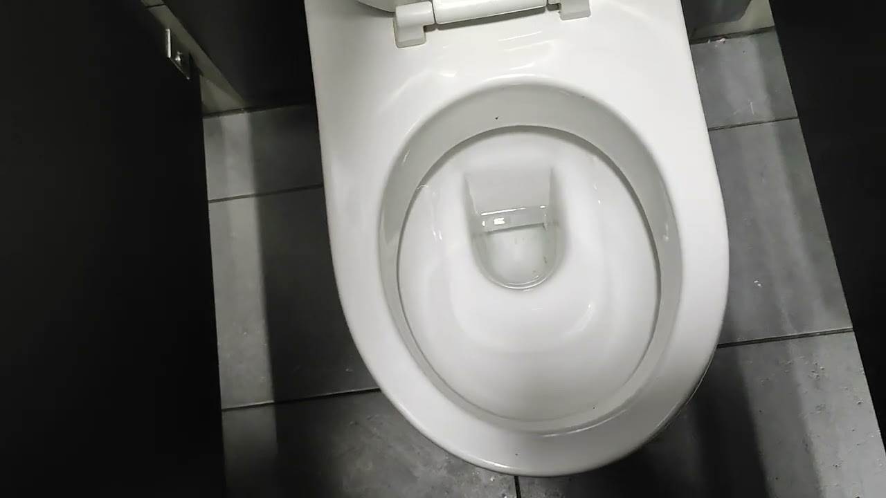 Toilet in McDonald's Worthing
