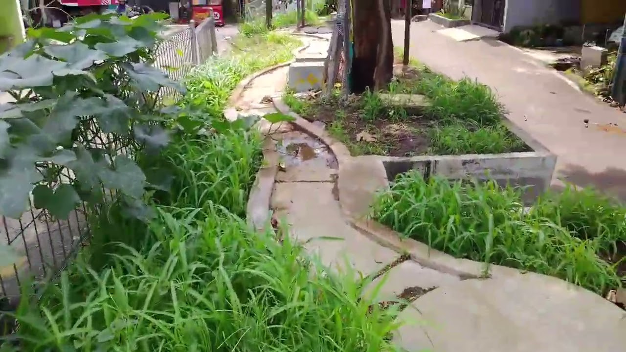Bersiin rumput taman 
