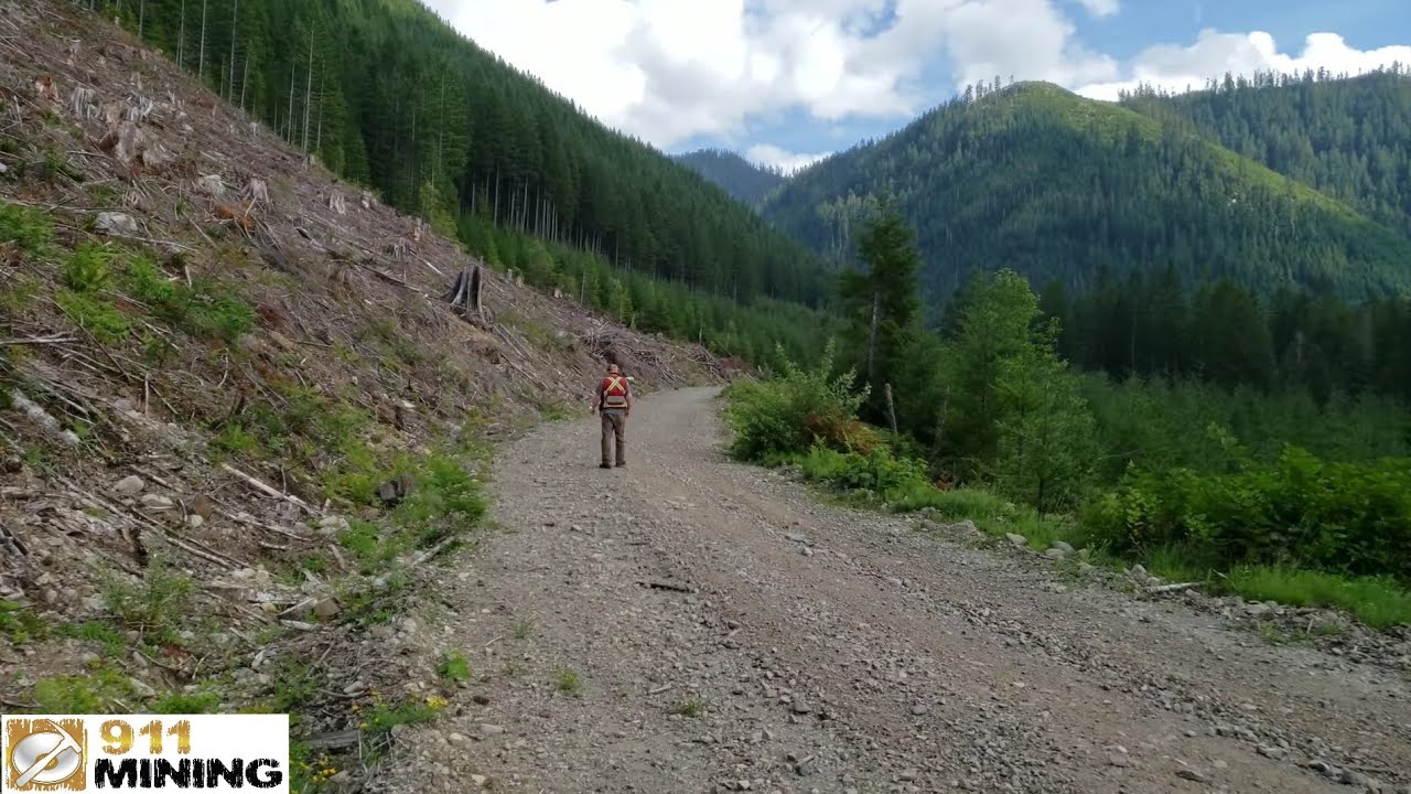 Searching For Gold & Minerals On Logging Roads!