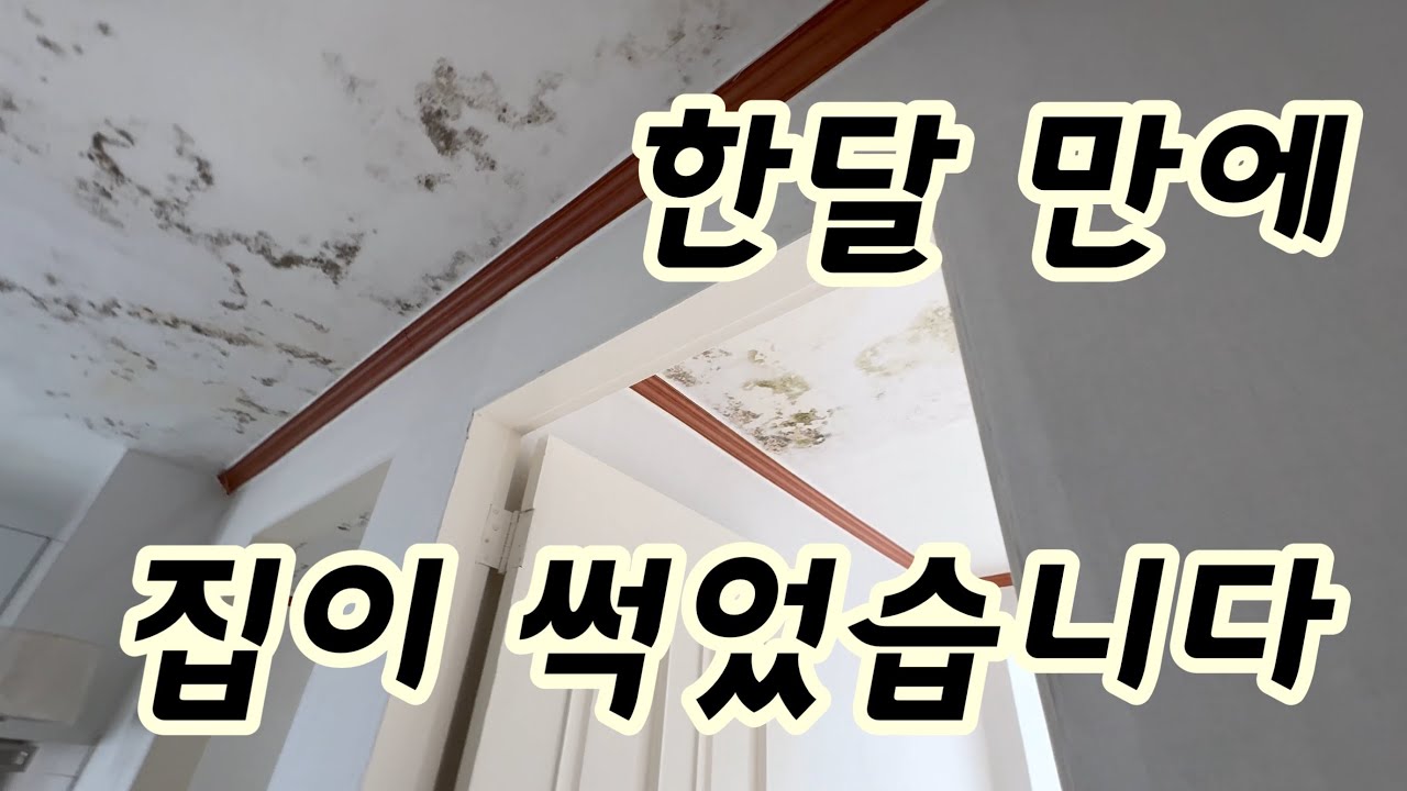 case87. 한 달 만에 집이 썩었습니다