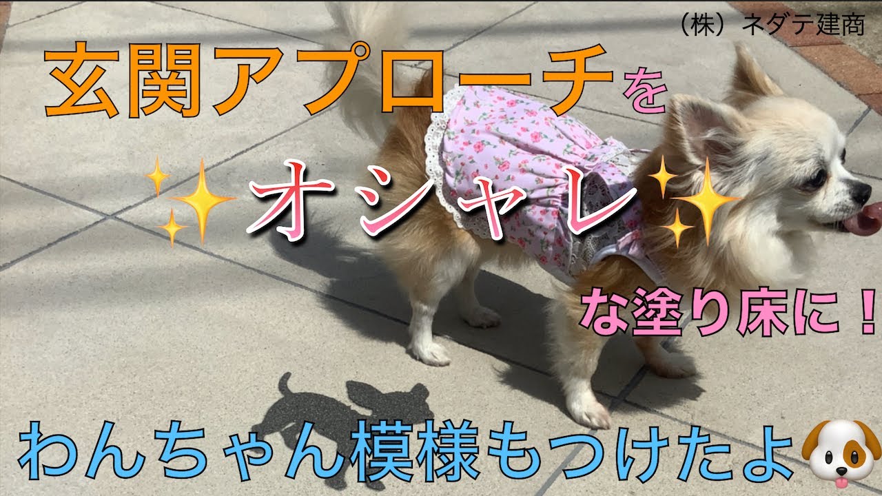 ネダテ建商　工盛会　わんちゃんも喜ぶ玄関アプローチ　四国化成工業　エクランEXにて