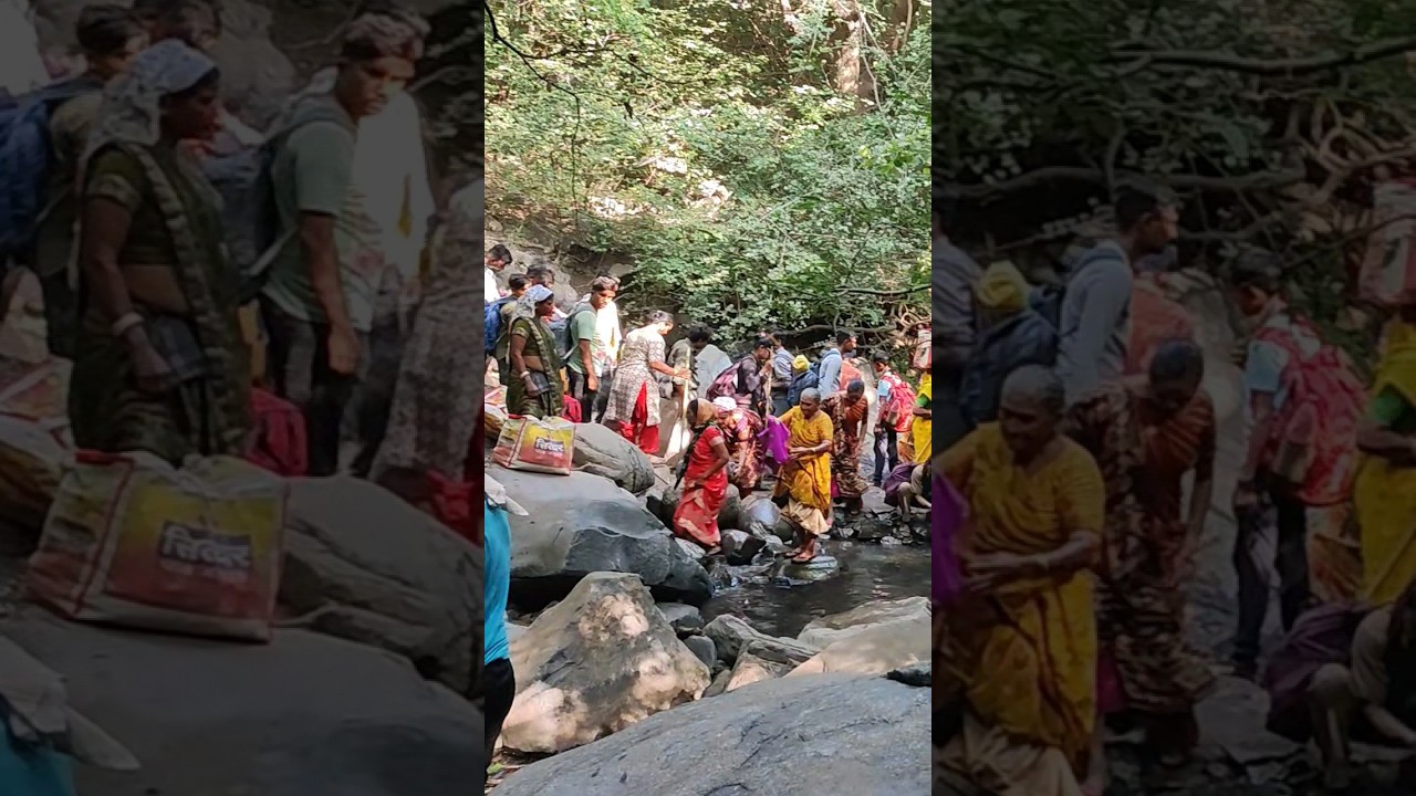parikrama Junagadh #parikrama #junagadh
