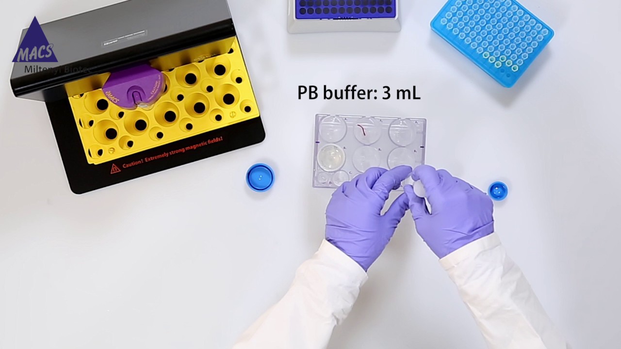 How-To: Magnetic Separation of TILs